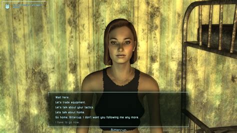 fallout 3 porn mod